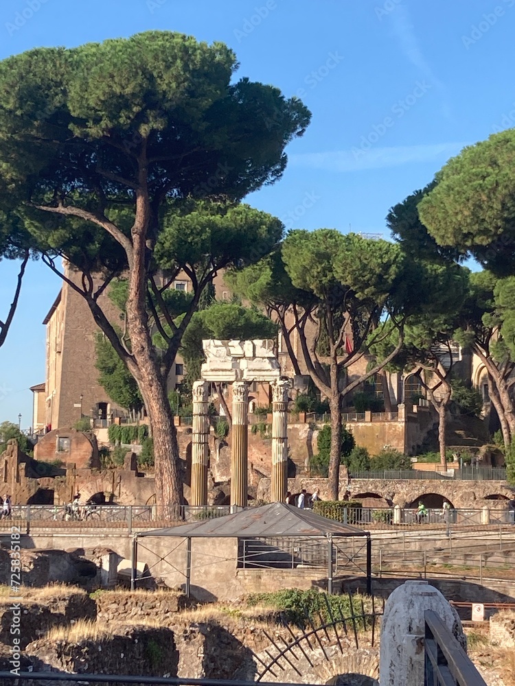 Roman Ruins 