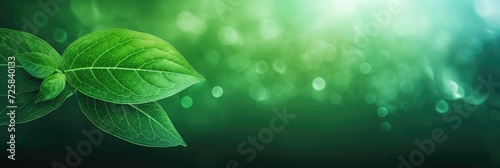 Natural green leaves floral background. Green background with leaves photo