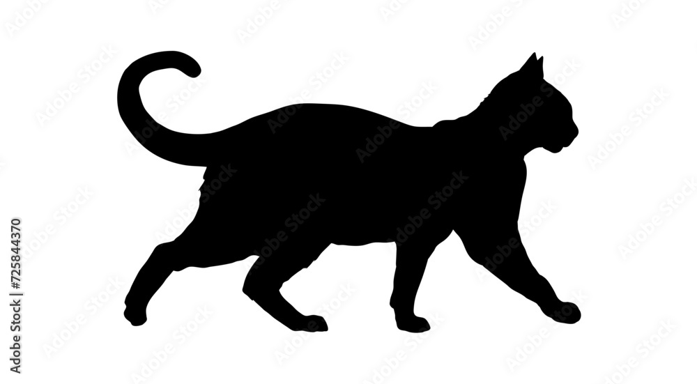 silhouette of cat - vector illustration