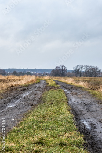Wiejska droga między polami z zimowym krajobrazem
