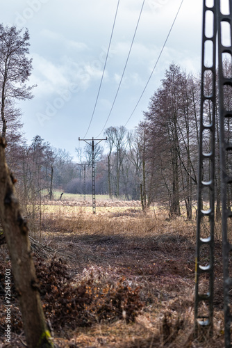 Polna Perspektywa z Liniami Energetycznymi