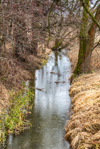 Rzeka Przepływająca Przez Zimowy krajobraz łąki