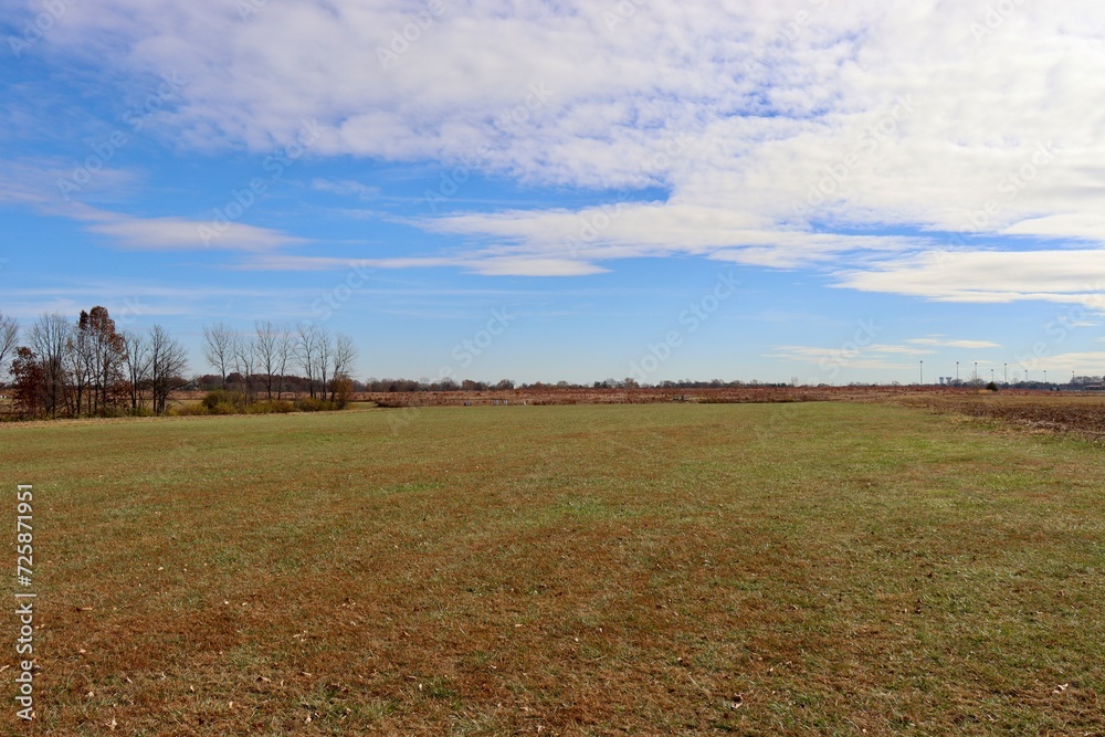 The empty grass field in the country on a sunny day.