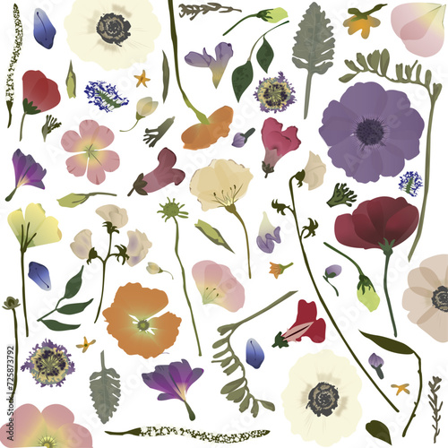 Floral pattern, herbarium.