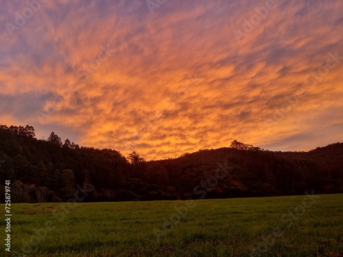 sunset over the field