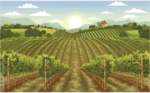 Vine yard landscape with rural horizon  digital art  illustration