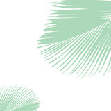 Green vector illustration of a big Cocos nucifera palm leaf on the white background