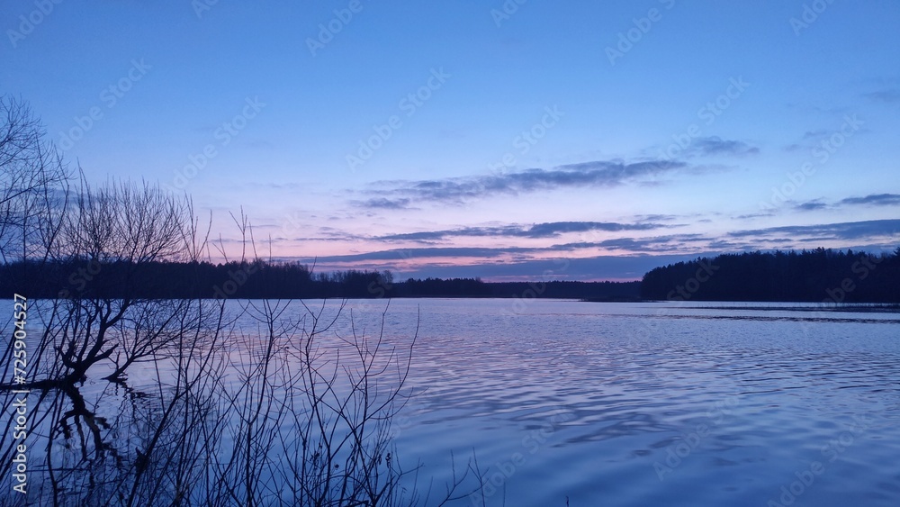 On an early spring morning, the sun has not yet risen above the trees on the far side of the river, but it is already coloring the cloudy sky with delicate hues. The branches of the willows On an early spring morning, the sun has not yet risen above the trees on the far side of the river, but it is already coloring the cloudy sky with delicate hues. The branches of the willows