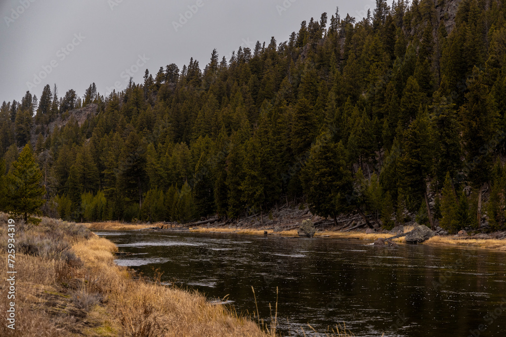 Dramatic View of Yellowstone National Park in the Winter with Some Snowfall Dramatic View of Yellowstone National Park in the Winter with Some Snowfall