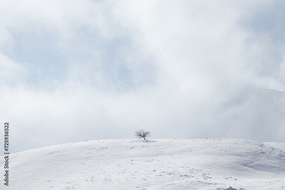winter landscape and architectural structures in nature winter landscape and architectural structures in nature