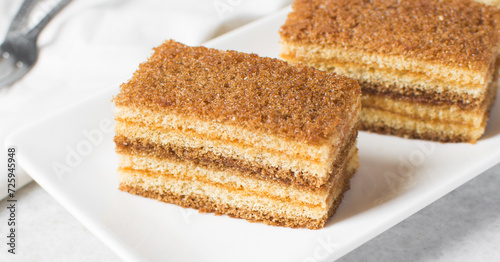 A slice of vanilla cake with jam filling, thin layers of vanilla and chocolate cake with jam filling on a white background