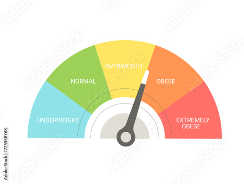 BMI concept indicator. Body mass index. Weight control. Vector flat illustration