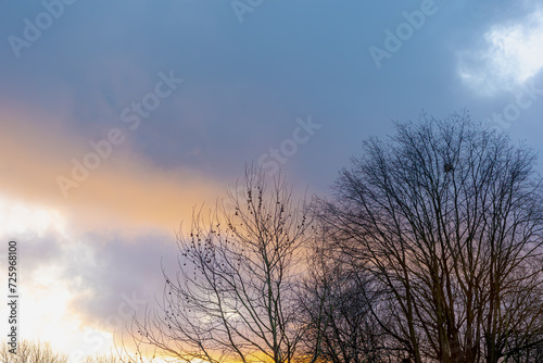 Selective focus of bare tree in winter during the sun going down, Silhouette and shadow of branches tree with colourful sunset skyline in the evening with golden yellow and clouds, Nature background.