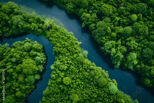 Serene River Flowing Through Lush Green Forest
