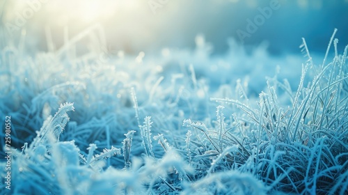 Frosty nature background. Winter landscape with frozen grass in blue toned. © buraratn