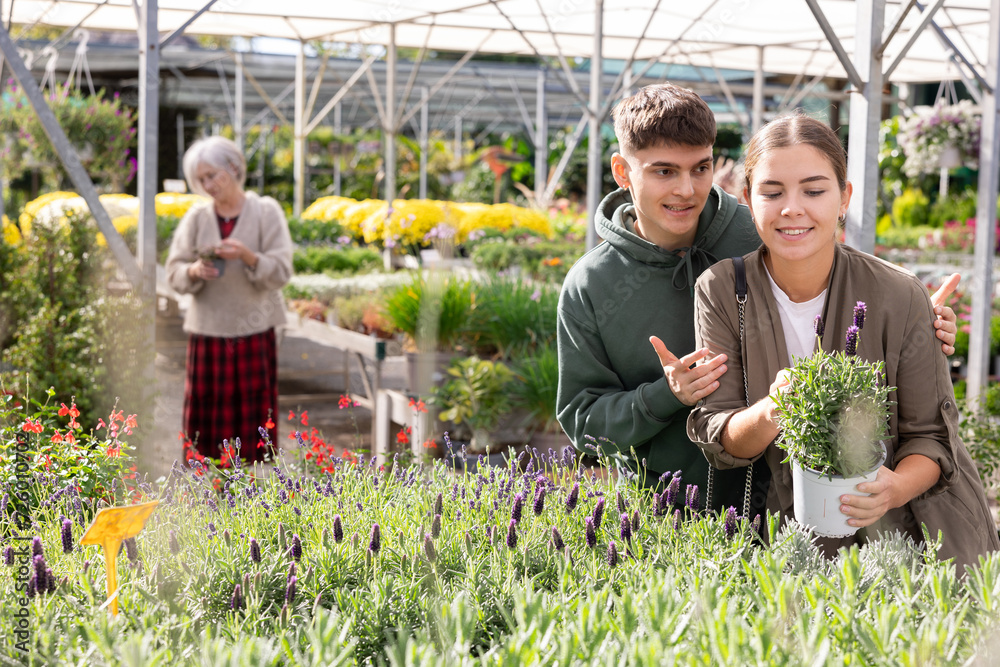 Φωτογραφία Couple of young guy and young woman buyers choose lavender in pot in flower shop