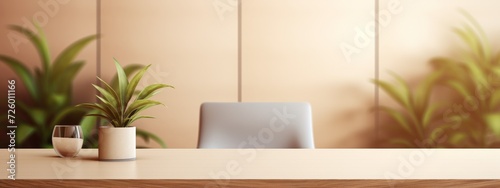 Desk With Chair and Potted Plant
