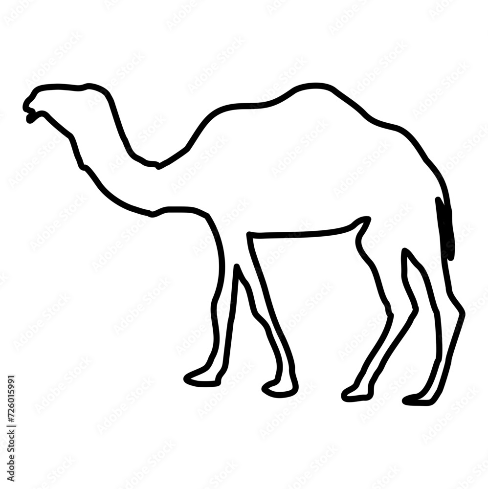 Fototapeta premium Camel Lines Style Icon Vector