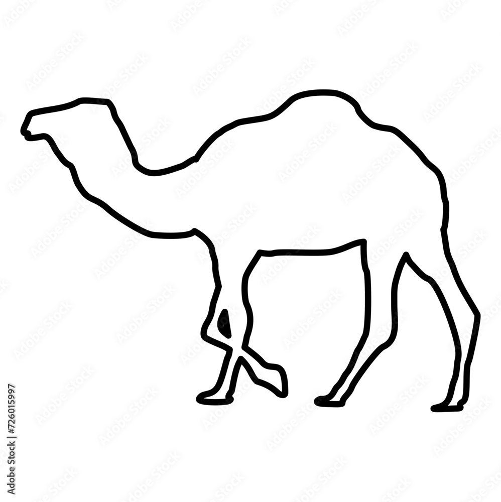 Camel Lines Style Icon Vector Camel Lines Style Icon Vector