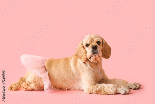 Cute Cocker Spaniel with ballet tutu on pink background photo