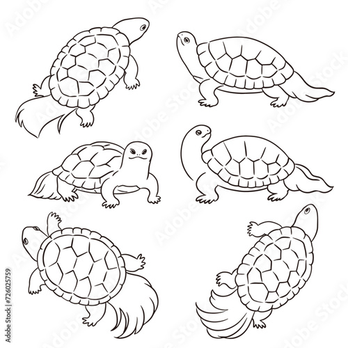 和風の亀のベクターイラストセット
