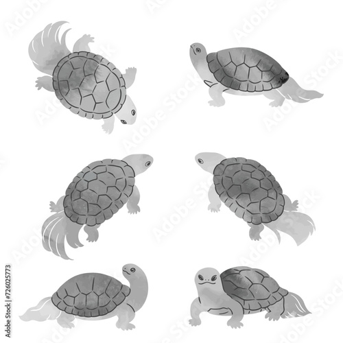 水墨画風の亀のベクターイラストセット
