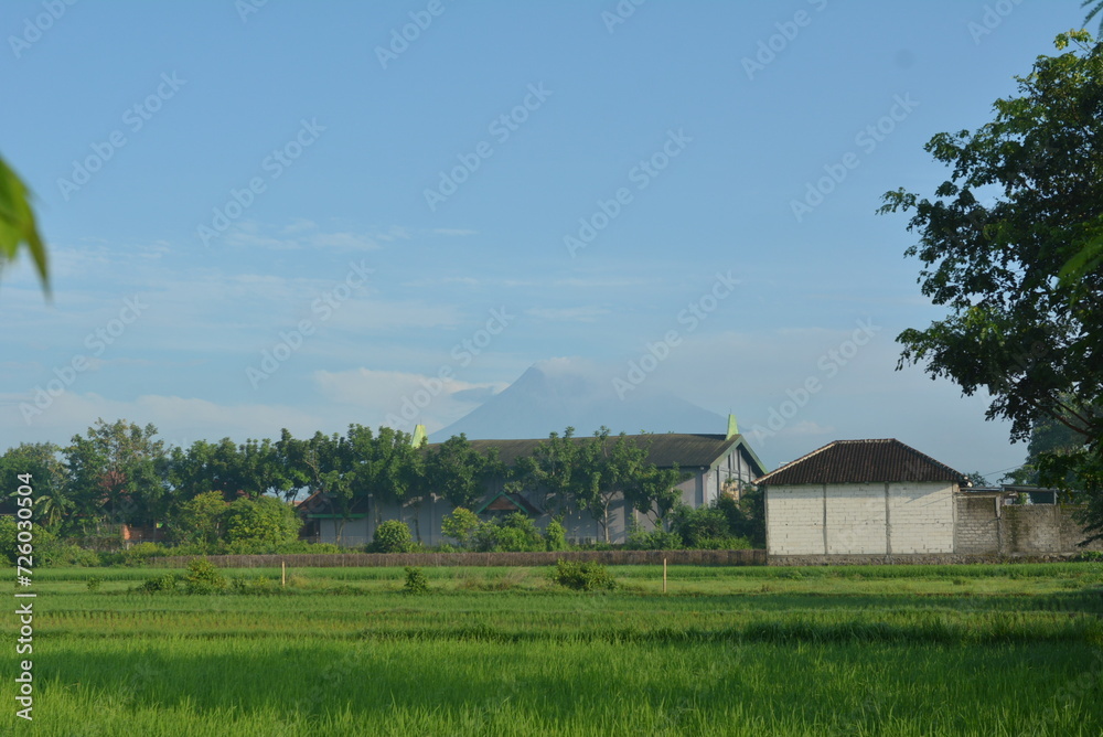 View of rice fields in a background of Mount Merapi in Yogyakarta, Indonesia View of rice fields in a background of Mount Merapi in Yogyakarta, Indonesia