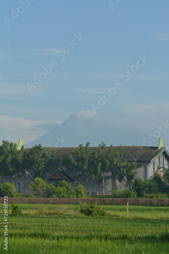 View of rice fields in a background of Mount Merapi in Yogyakarta, Indonesia © Andang Riana