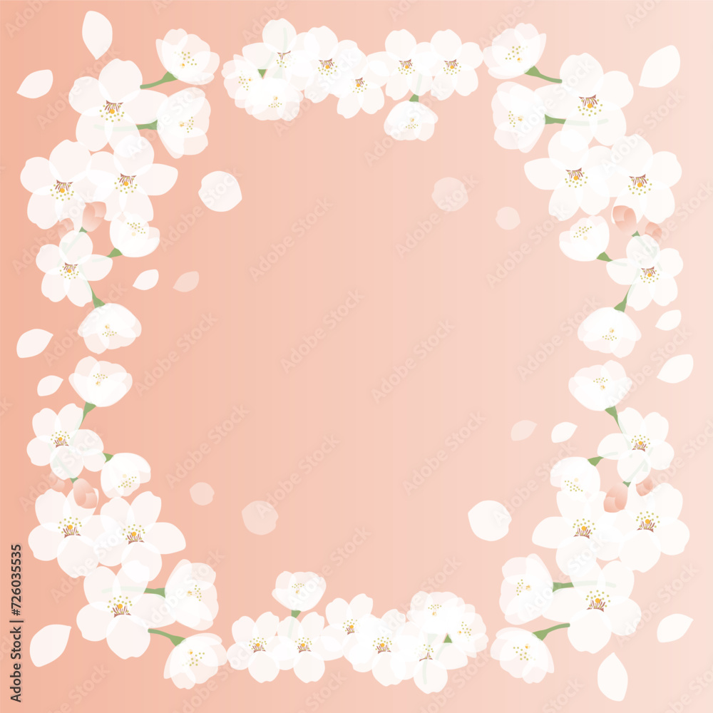 満開の桜の花の背景イラスト