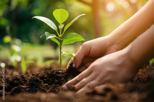 Close-up hands planting a seedling in the soil. Background with selective focus and copy space