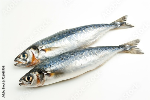 Pair of sardines on blank surface