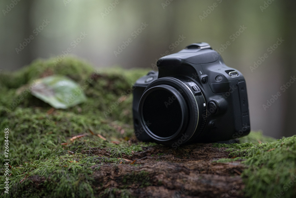 Professionelle digitale Spiegelreflexkamera auf einem Baumstumpf im Wald  - obrazy, fototapety, plakaty 