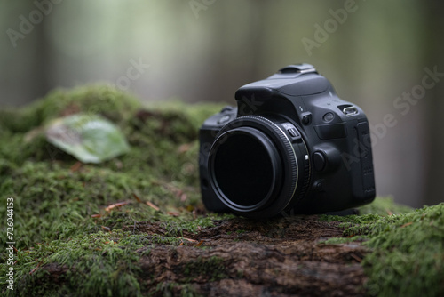 Professionelle digitale Spiegelreflexkamera auf einem Baumstumpf im Wald  photo