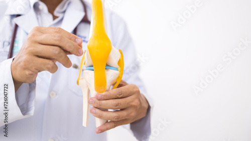 Orthopedic doctor or surgeon use knee anatomy model or mock up for patient education about knee ligament pain on white background in examination room.Patella tendon meniscus and cruciate sport injury.