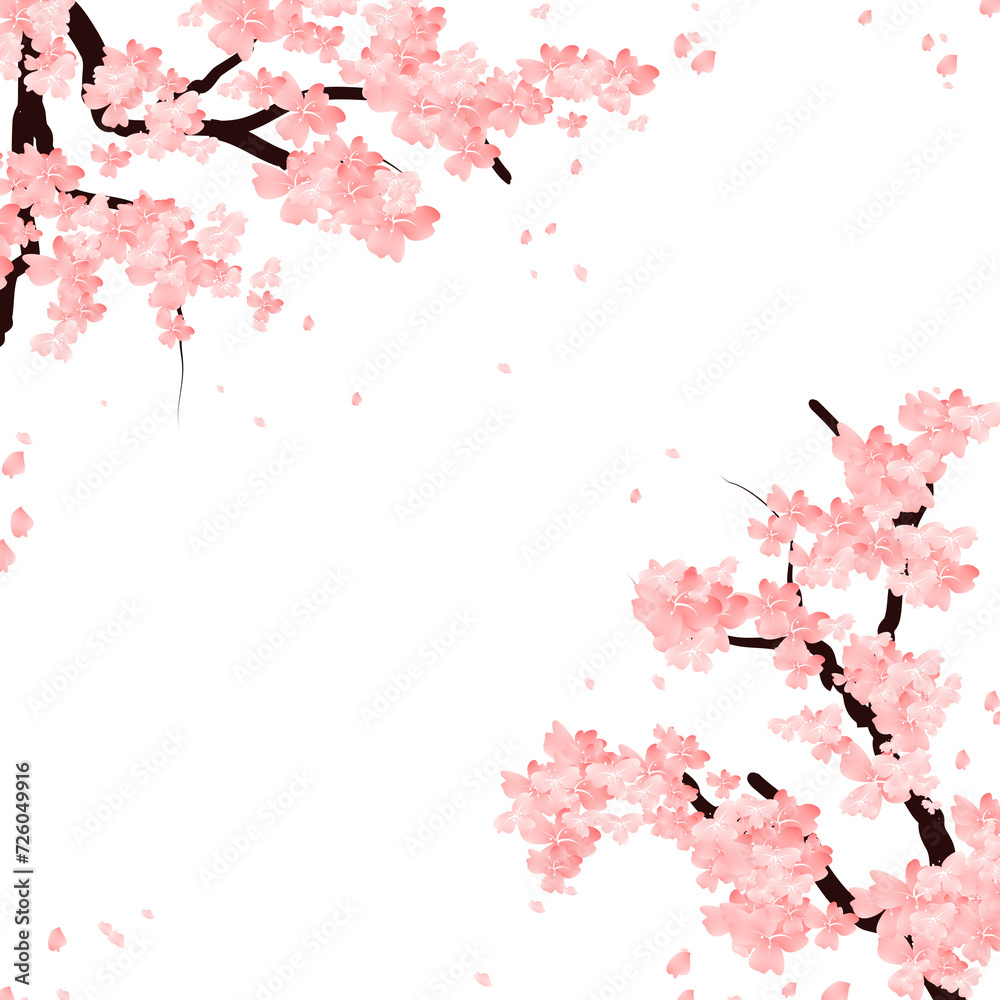 Sakura flower frame, Cherry Blossom Border. Spring Floral Falling Petals Background.