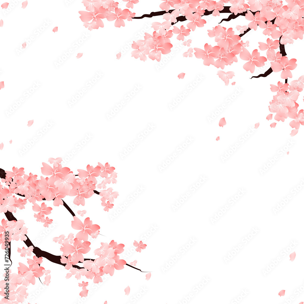 Sakura flower frame, Cherry Blossom Border. Spring Floral Falling Petals Background.