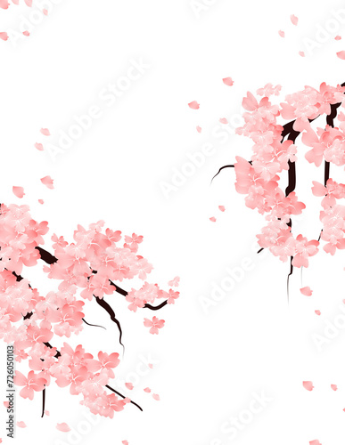 Greeting Card With Sakura Branch Flowers Frame. Valentines template with pink cherry blossom border. Spring Floral Falling Petals Background.