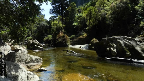 Pororari river with big rocks, Paparoa National Park, New Zealand photo