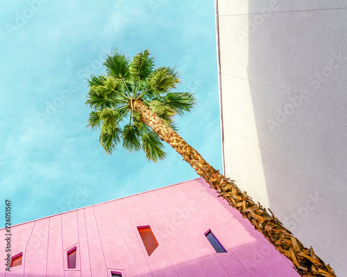 A palm tree in a corner of pink and white walls