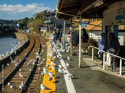 Wallpaper Mural 浜名湖のゆりかもめ Torontodigital.ca