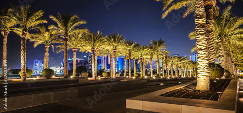 palm trees at night © 493 Photo