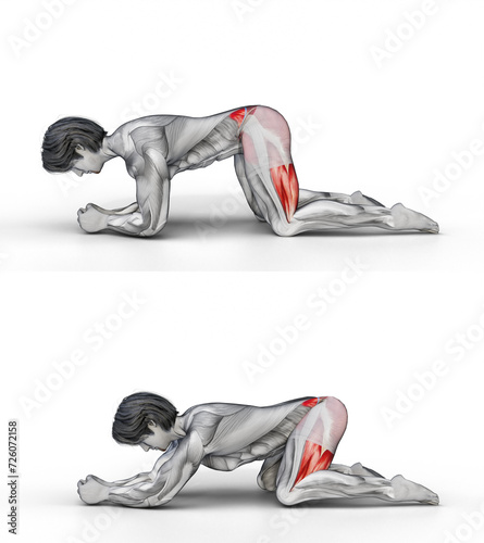 858 Rocking Frog Stretch Ver Two. 3D Anatomy of fitness and bodybuilding. An outstanding display of male muscles. Targeted muscles are red. No background. Png.