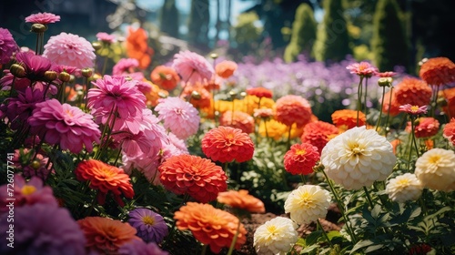 This is a photograph of a beautiful flower garden. The garden is filled with various types and colors of flowers that are in full bloom. Some of the flowers are pink, yellow, purple.