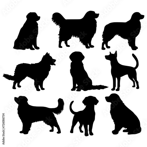 Isolated dogs on the white background. Dogs silhouettes. Vector EPS 10.	