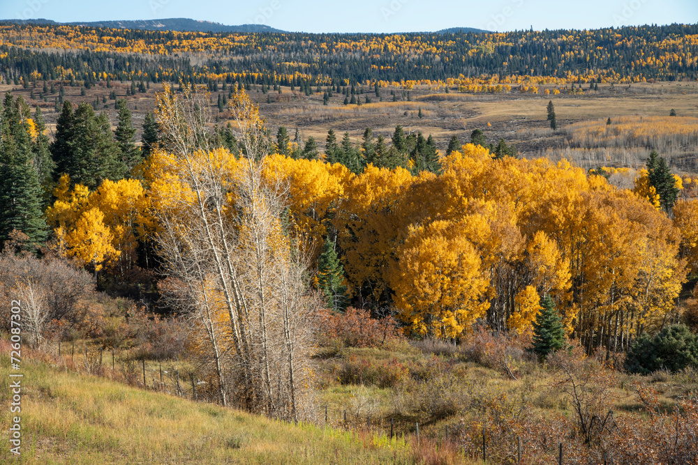 Valley view of fall foliage in Tierra Amarilla, NM
