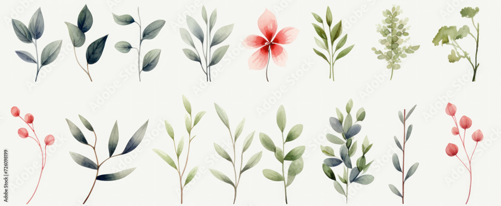 Set of Watercolor leaves elements collections on white background, illustration for weddings, invitation card, greetings, wallpapers, backgrounds, wrappers