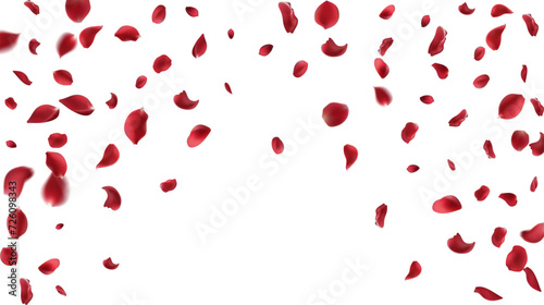 Falling red rose petals isolated on white background. Vector illustration with beauty roses petal. Valentine's Day