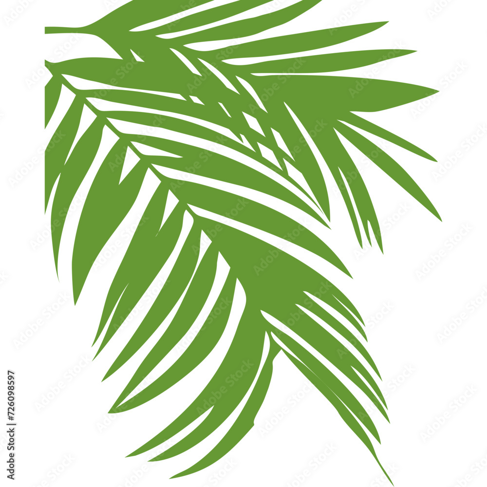 Fototapeta premium Palm Leaf Corner