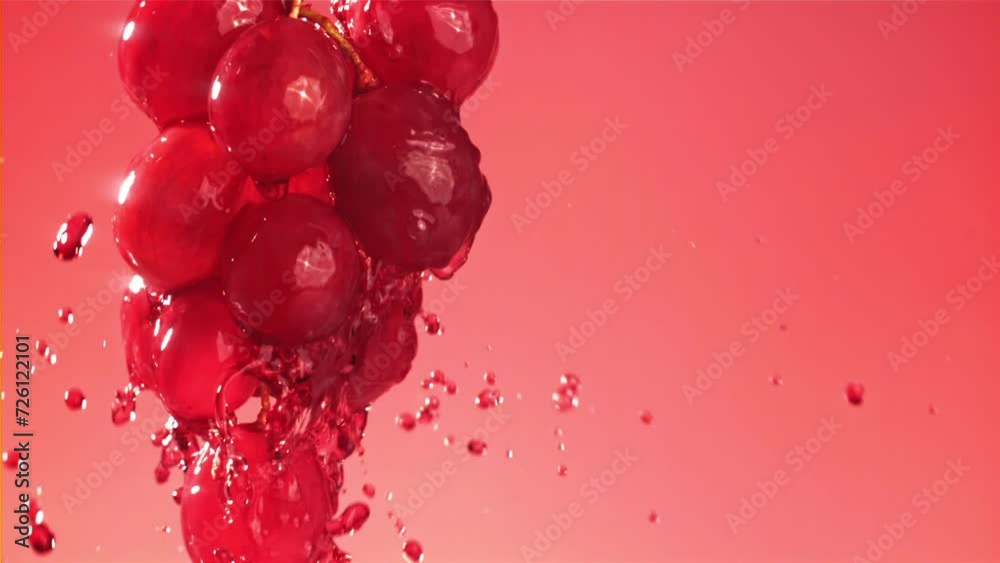 Red wine runs down a branch of a grape. Filmed on a high-speed camera at 1000 fps. High quality FullHD footage Red wine runs down a branch of a grape. Filmed on a high-speed camera at 1000 fps. High quality FullHD footage