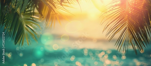 Blurred abstract background, representing beach vacation with palm leaves and space for text.